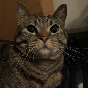 Meet your Posher, Martin